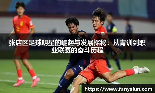 必一运动bsport体育